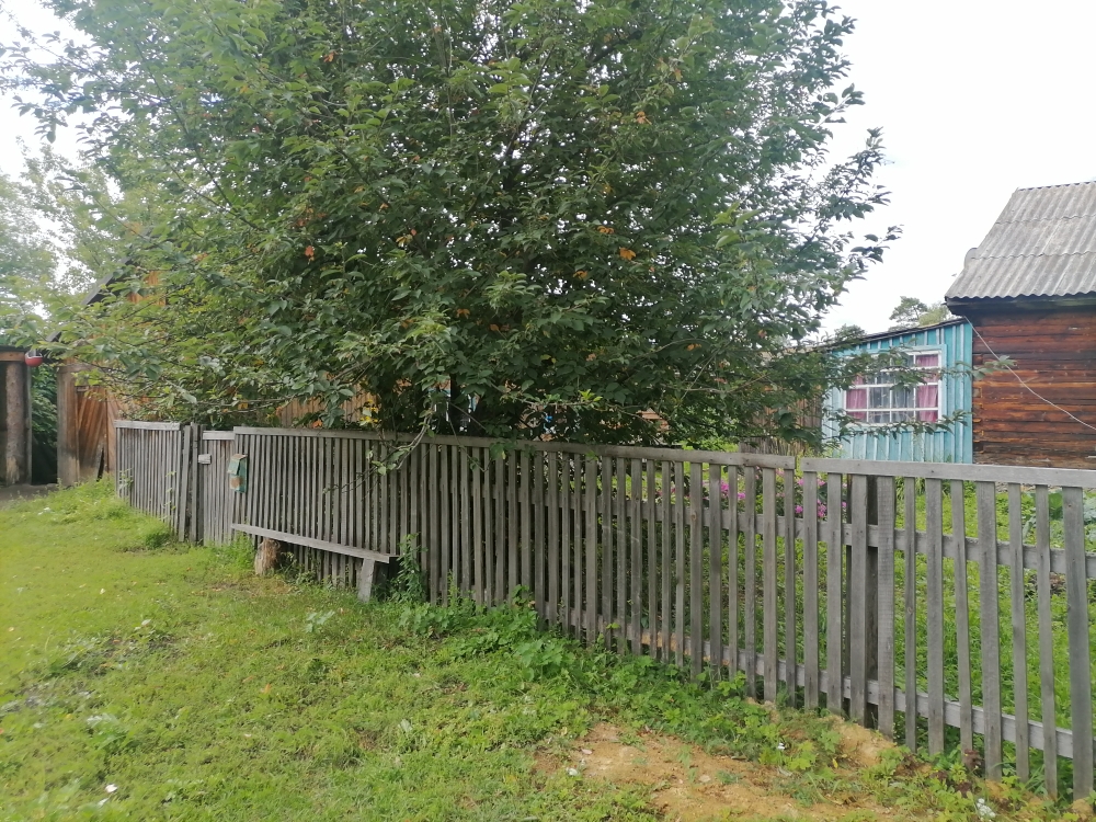 Изображение из списка