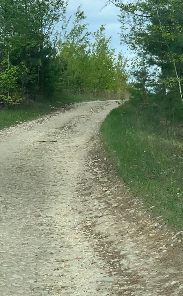 Изображение из списка