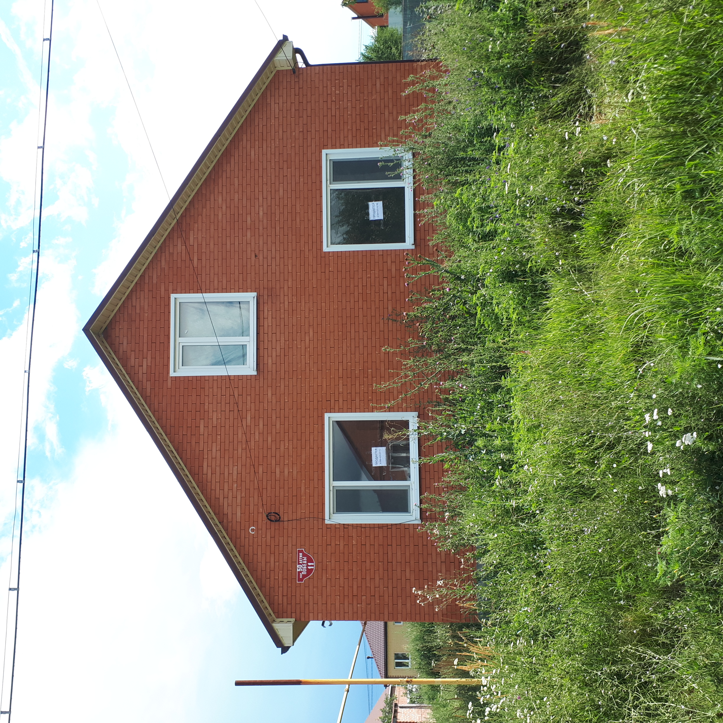 Выбранное изображение