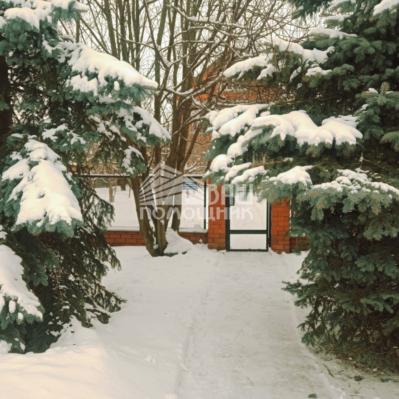 Изображение из списка