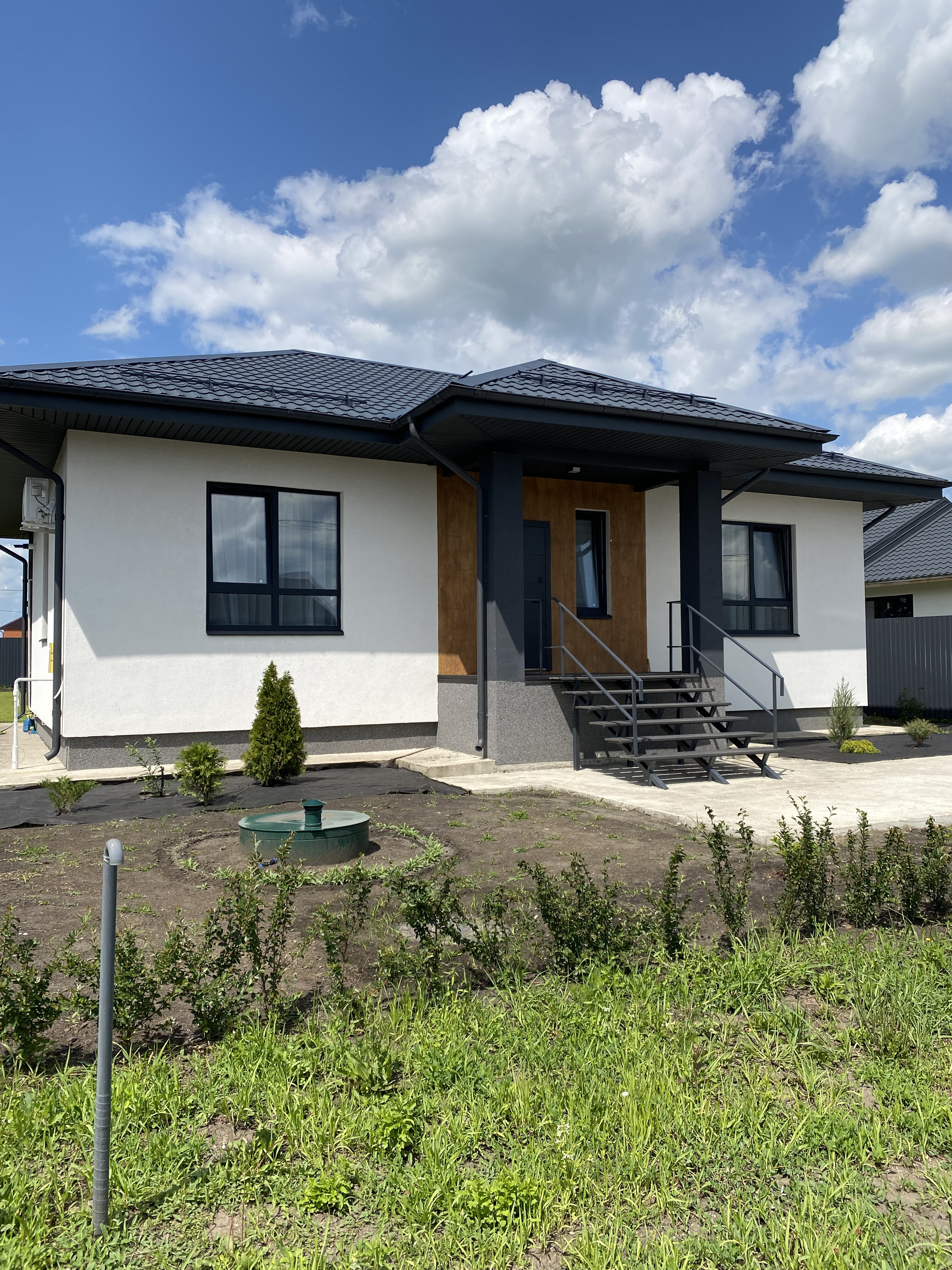 Выбранное изображение