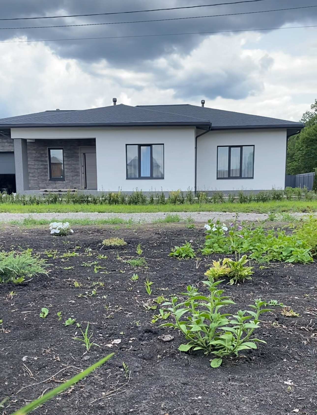 Изображение из списка