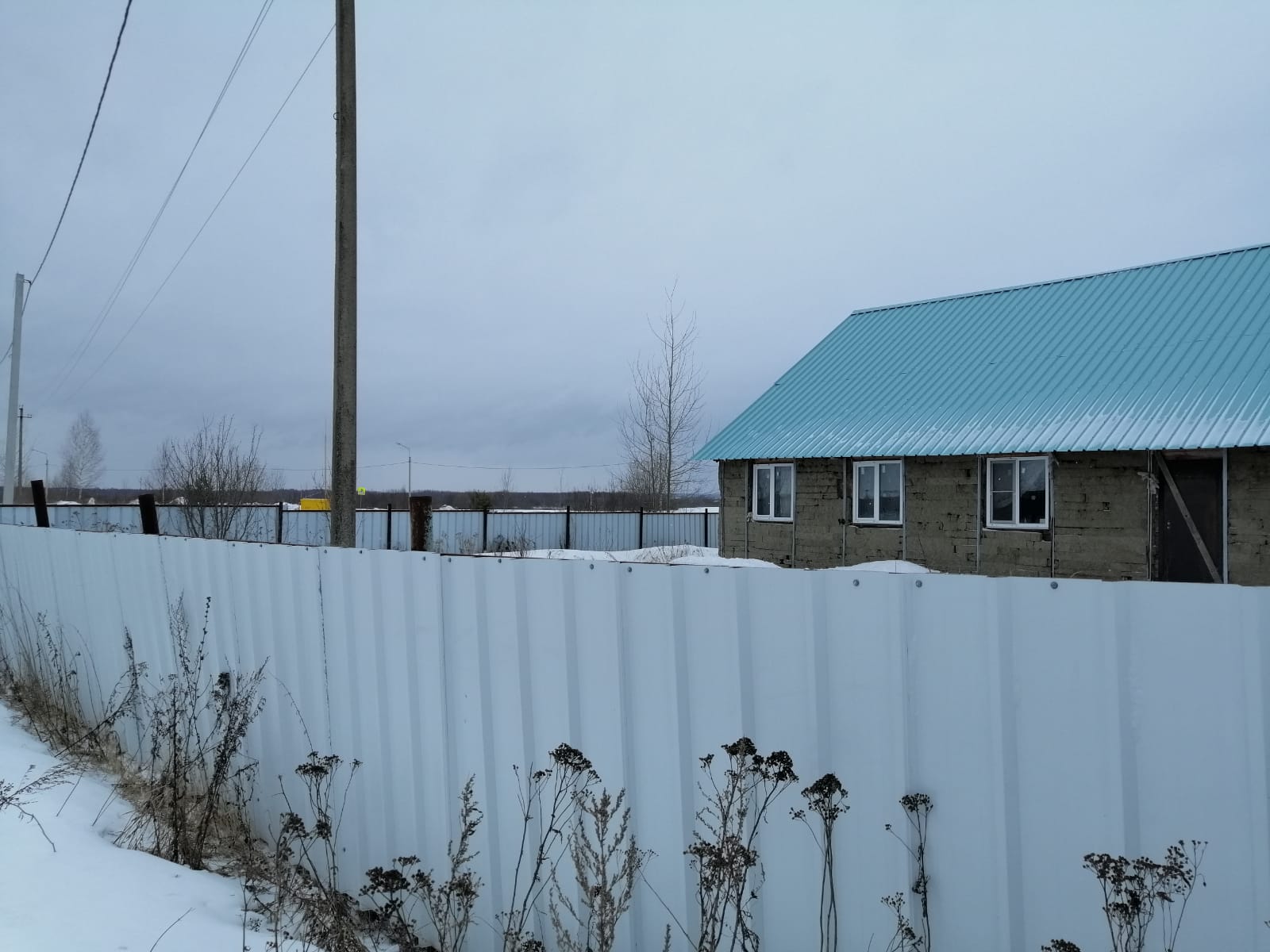 Выбранное изображение