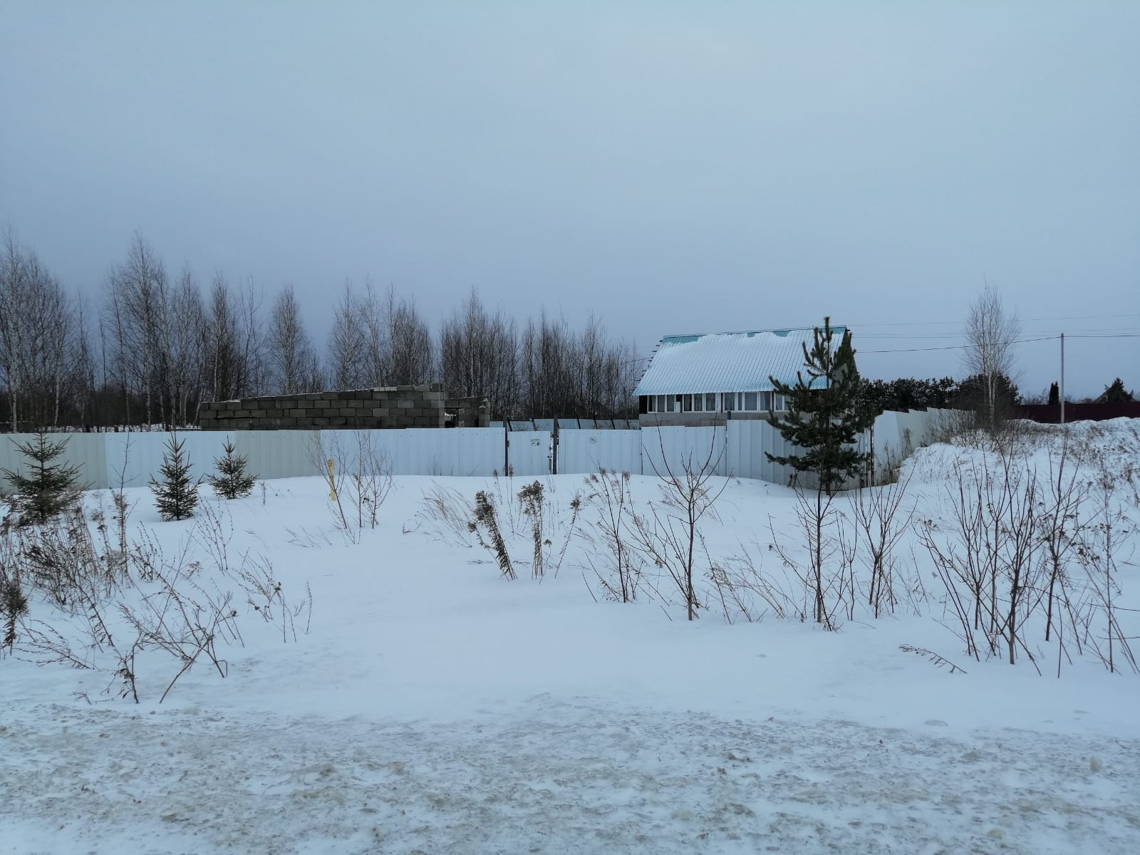 Изображение из списка