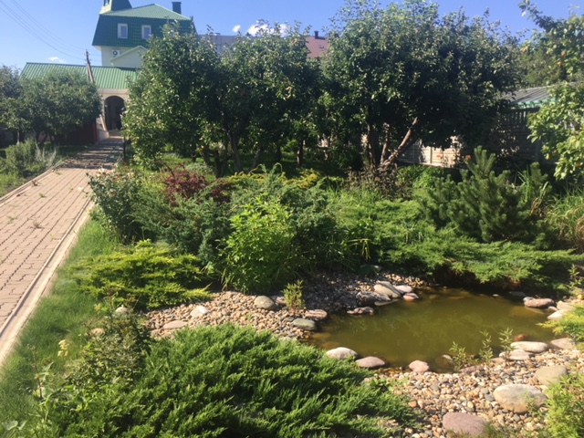 Изображение из списка