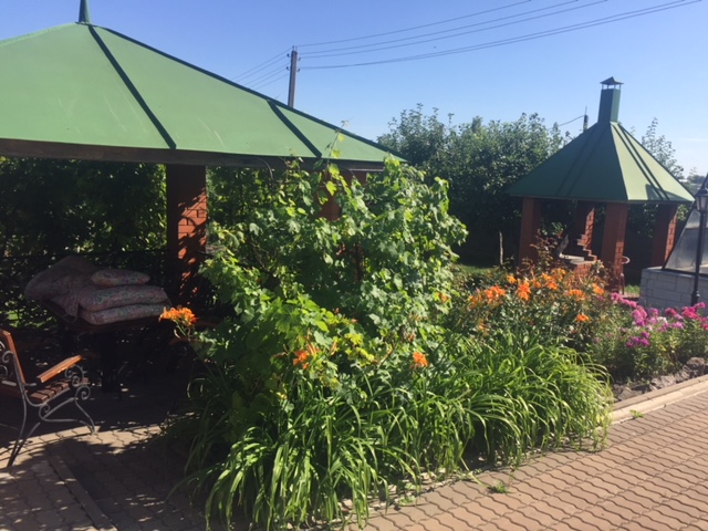 Изображение из списка