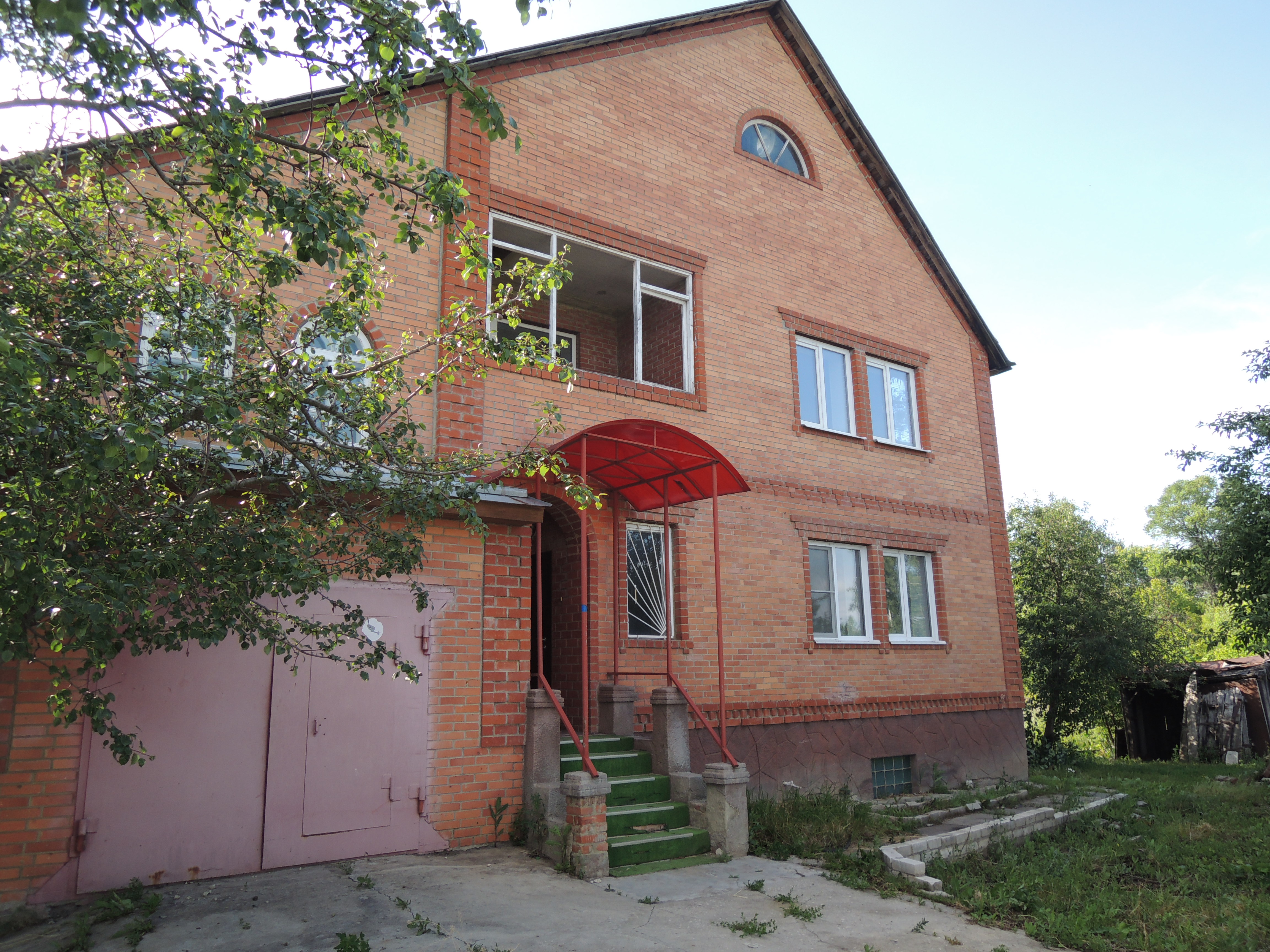 Выбранное изображение