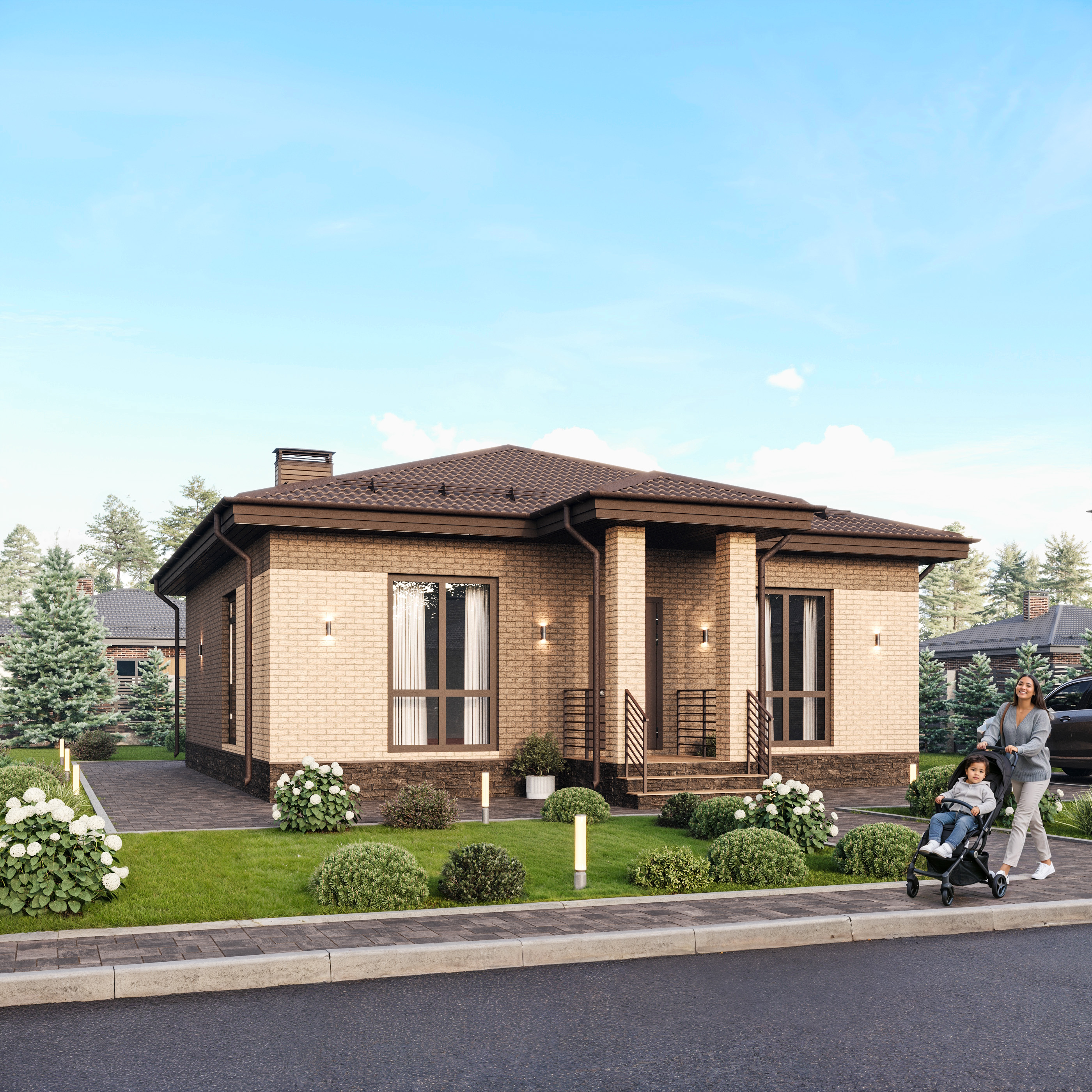 Проект Черника на Заре