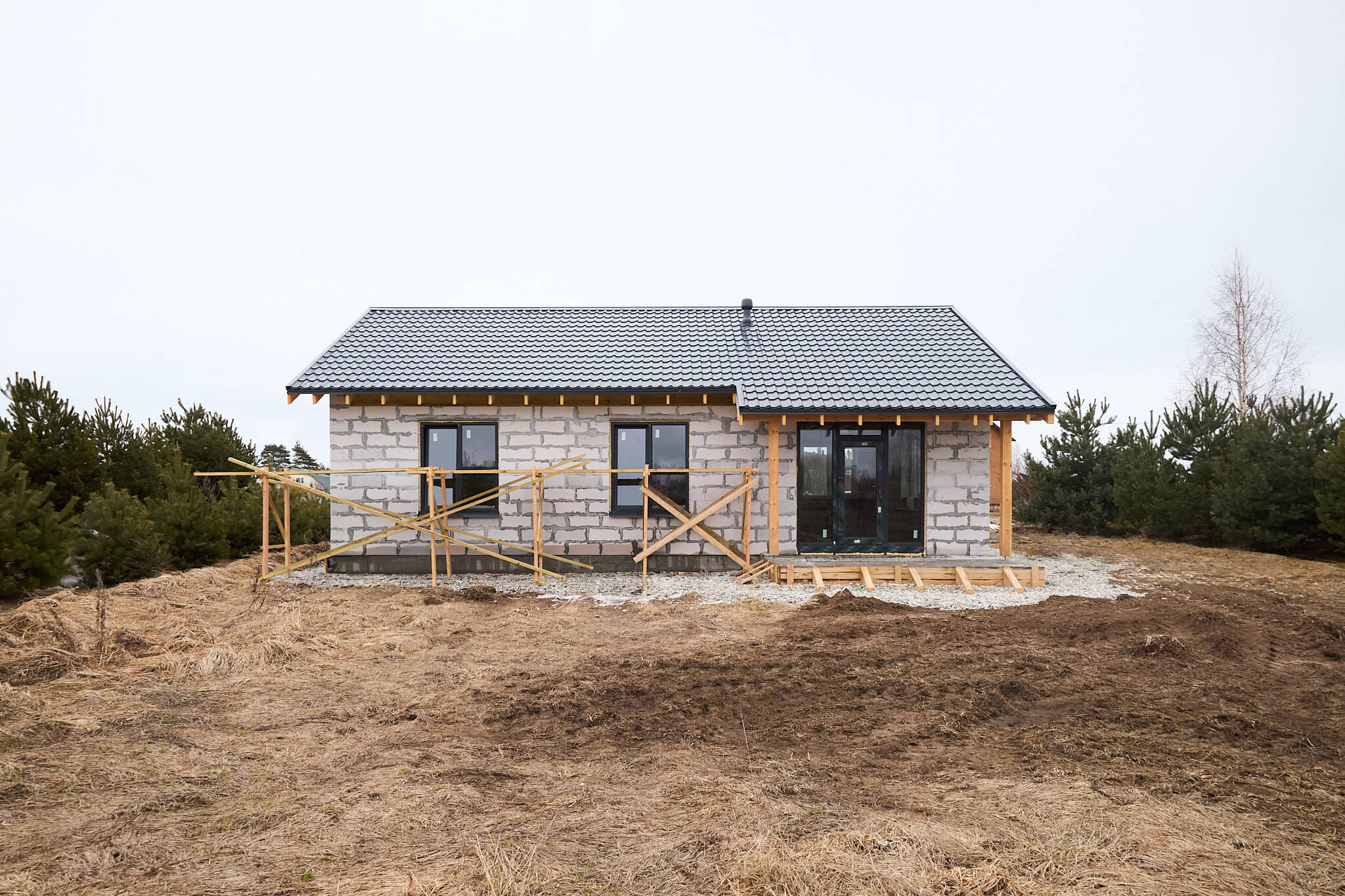 Проект Сион, изображение-8