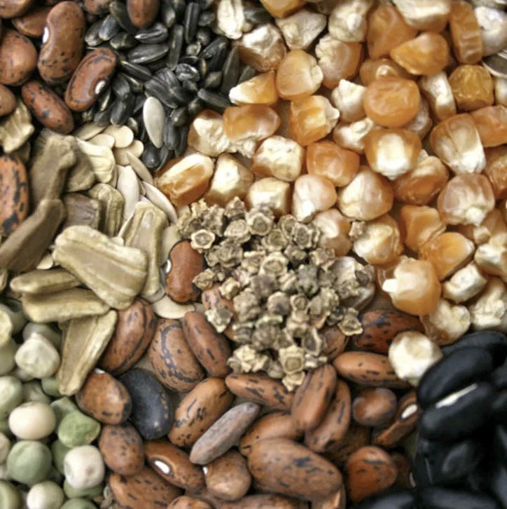 Продажа семян