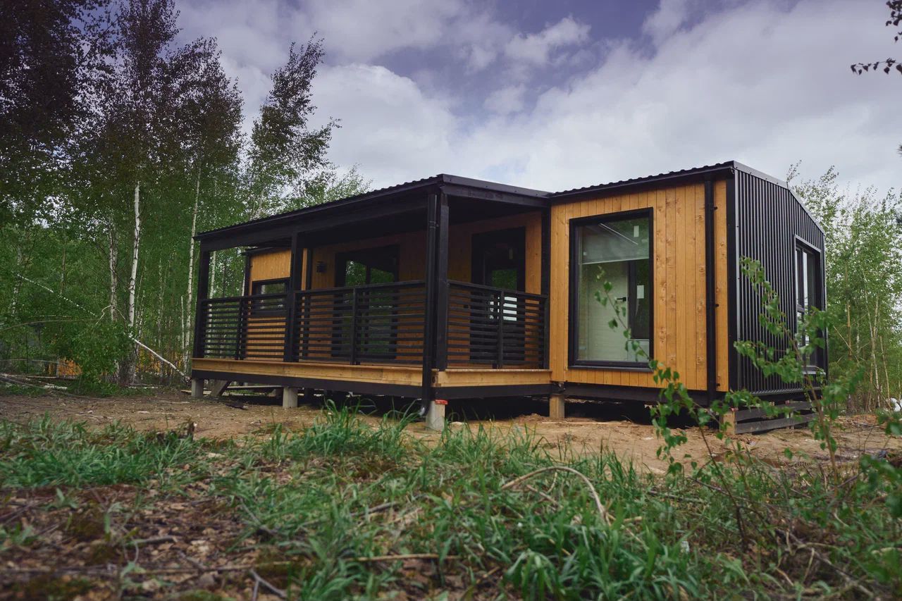 Выбранное изображение