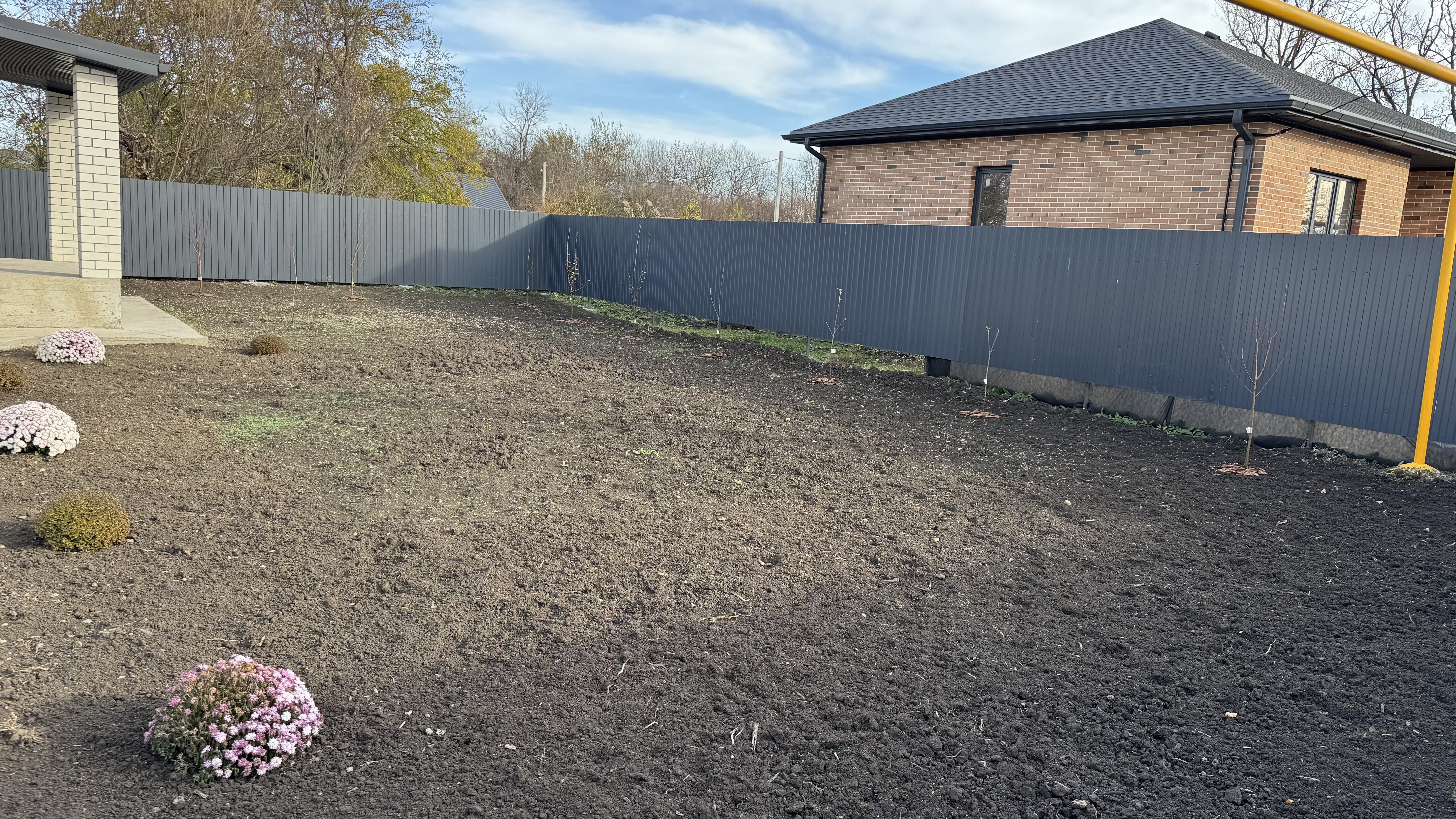 Изображение из списка