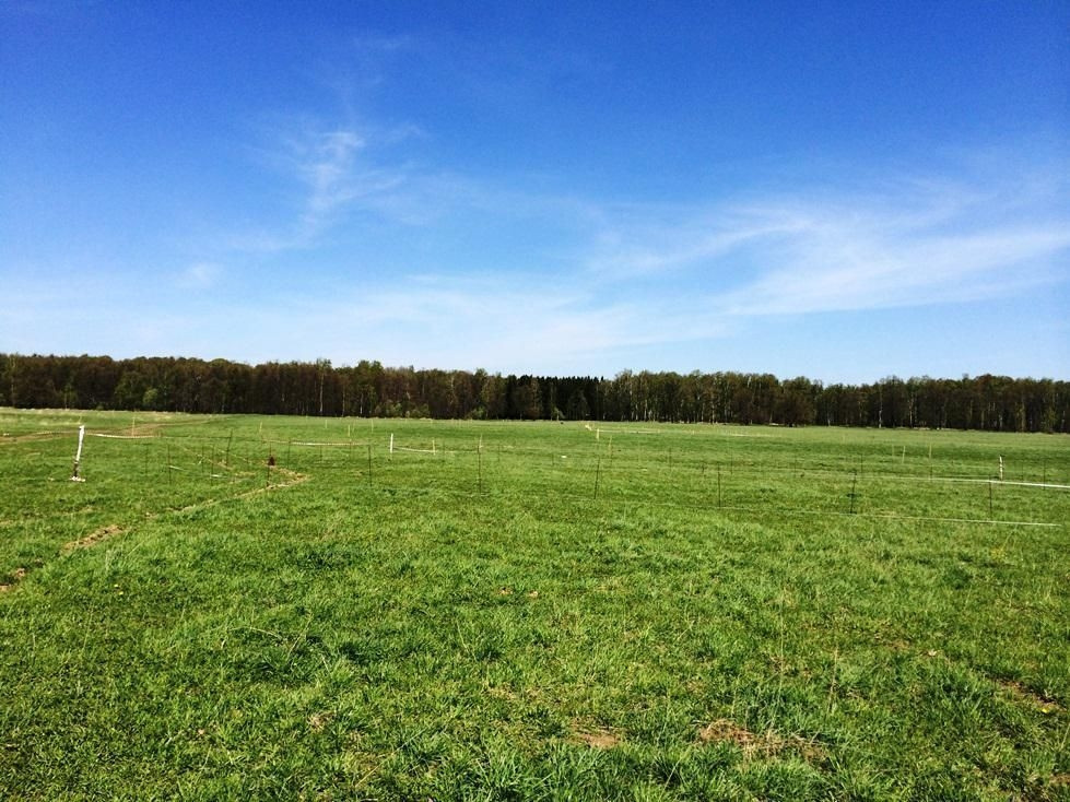 Подбор участков и домов