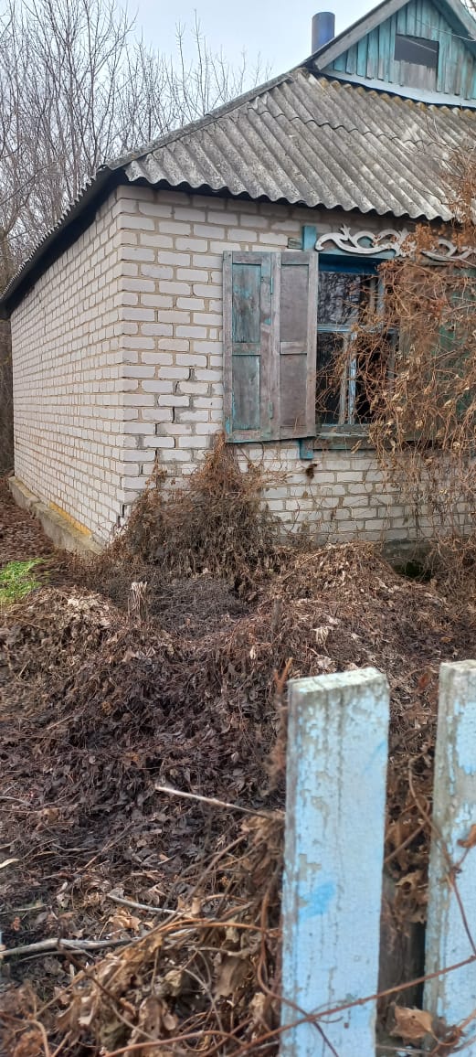 Изображение из списка