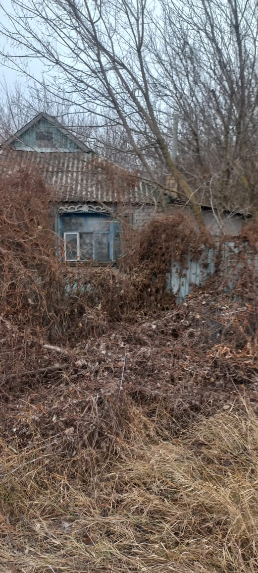 Изображение из списка