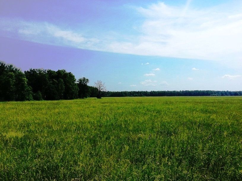 Подбор участков и домов