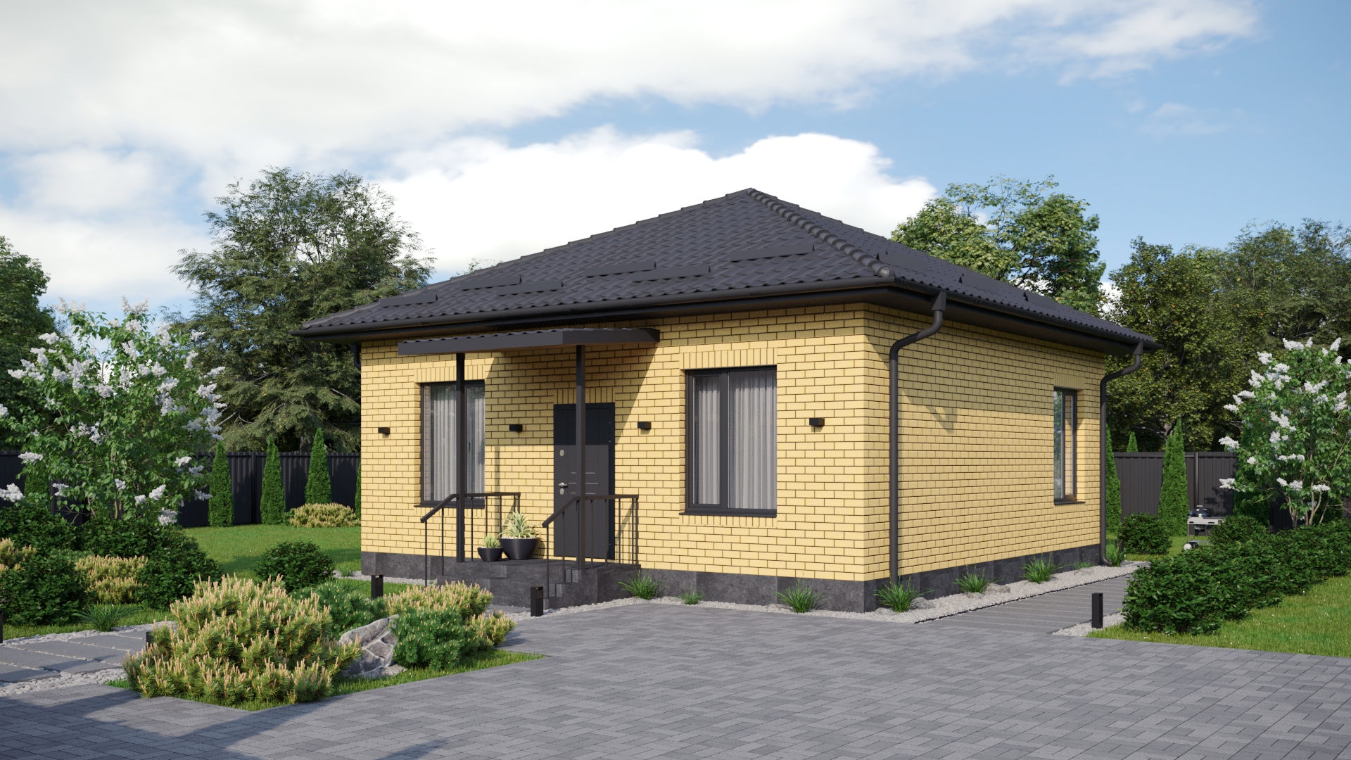 Выбранное изображение