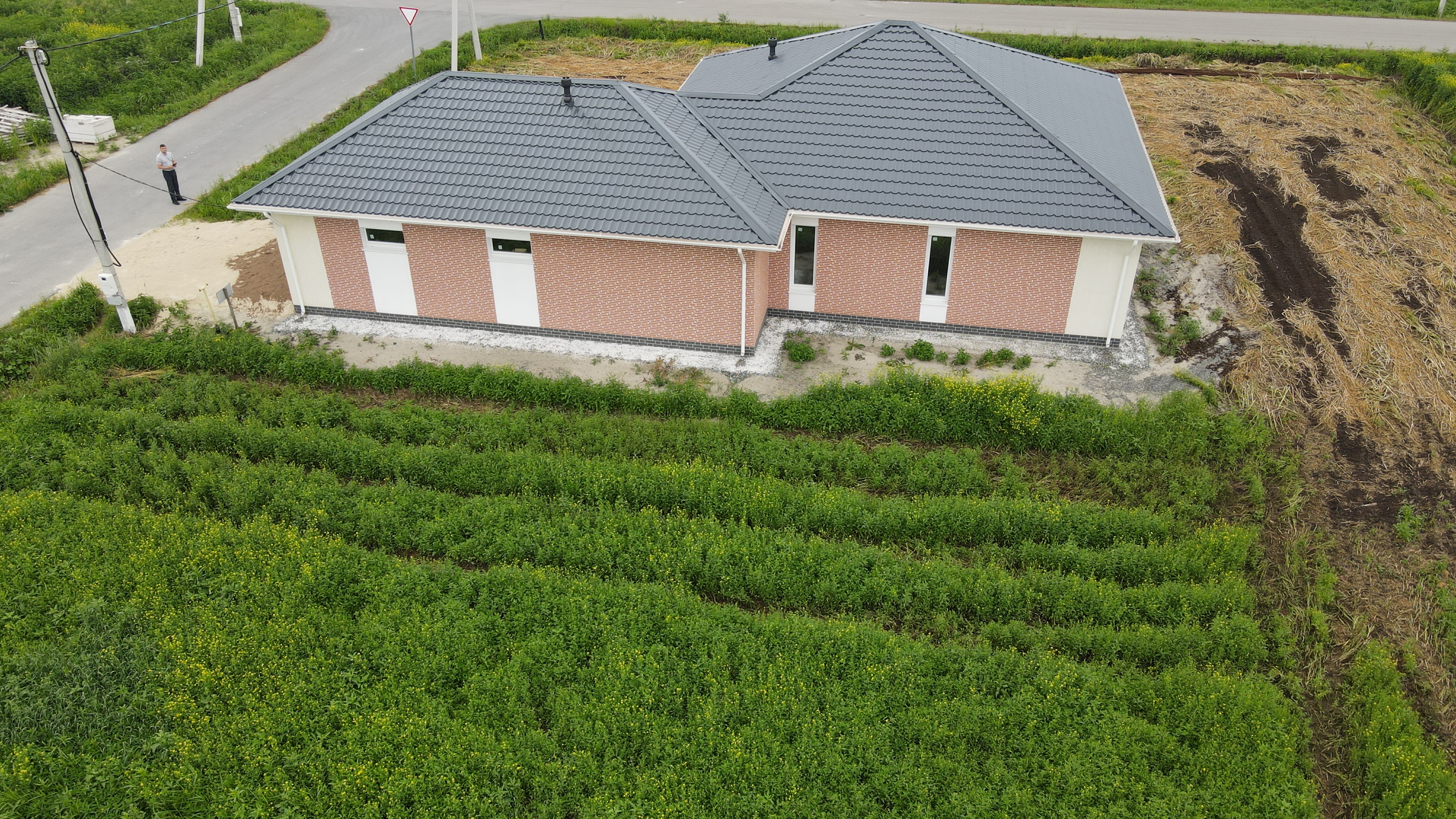 Изображение из списка