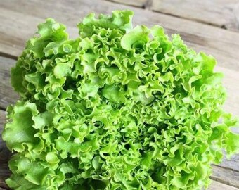 Листовой салат (зелень)