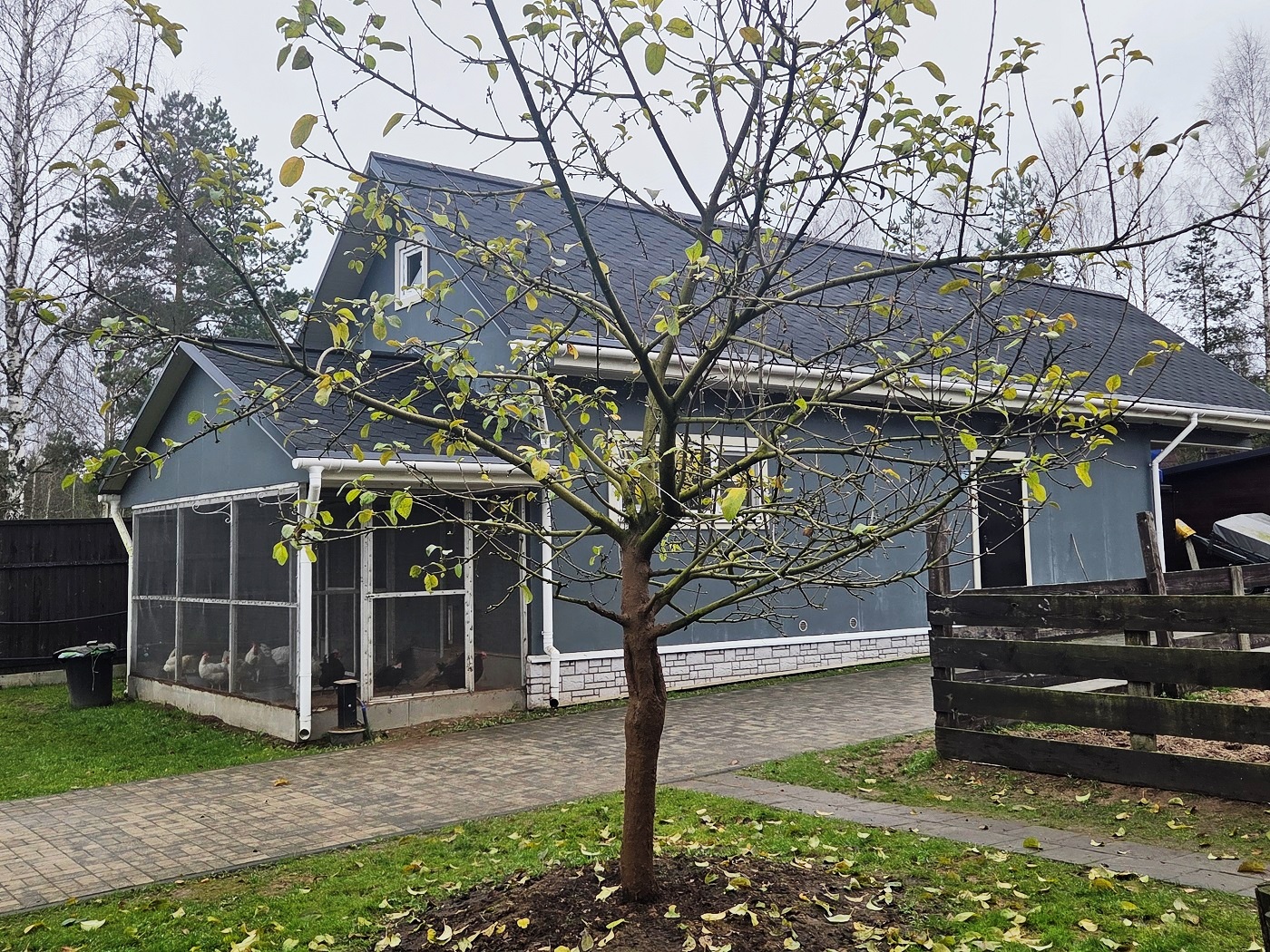 Изображение из списка