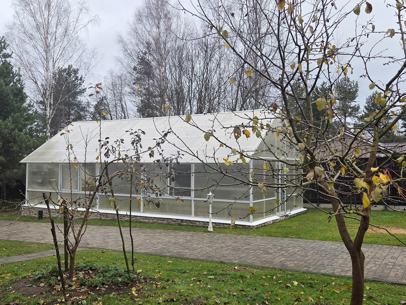 Изображение из списка