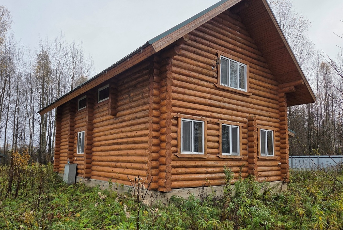 Выбранное изображение