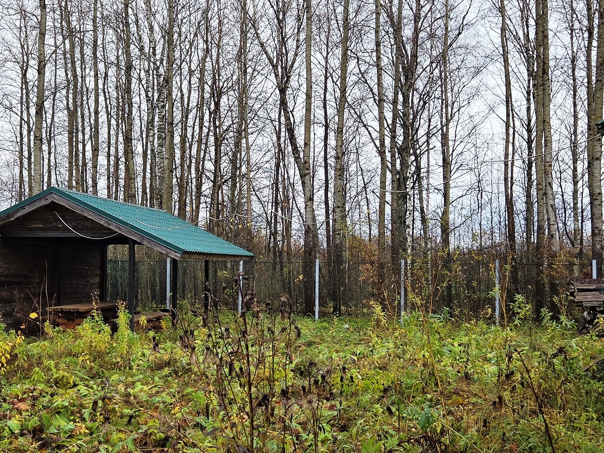 Изображение из списка