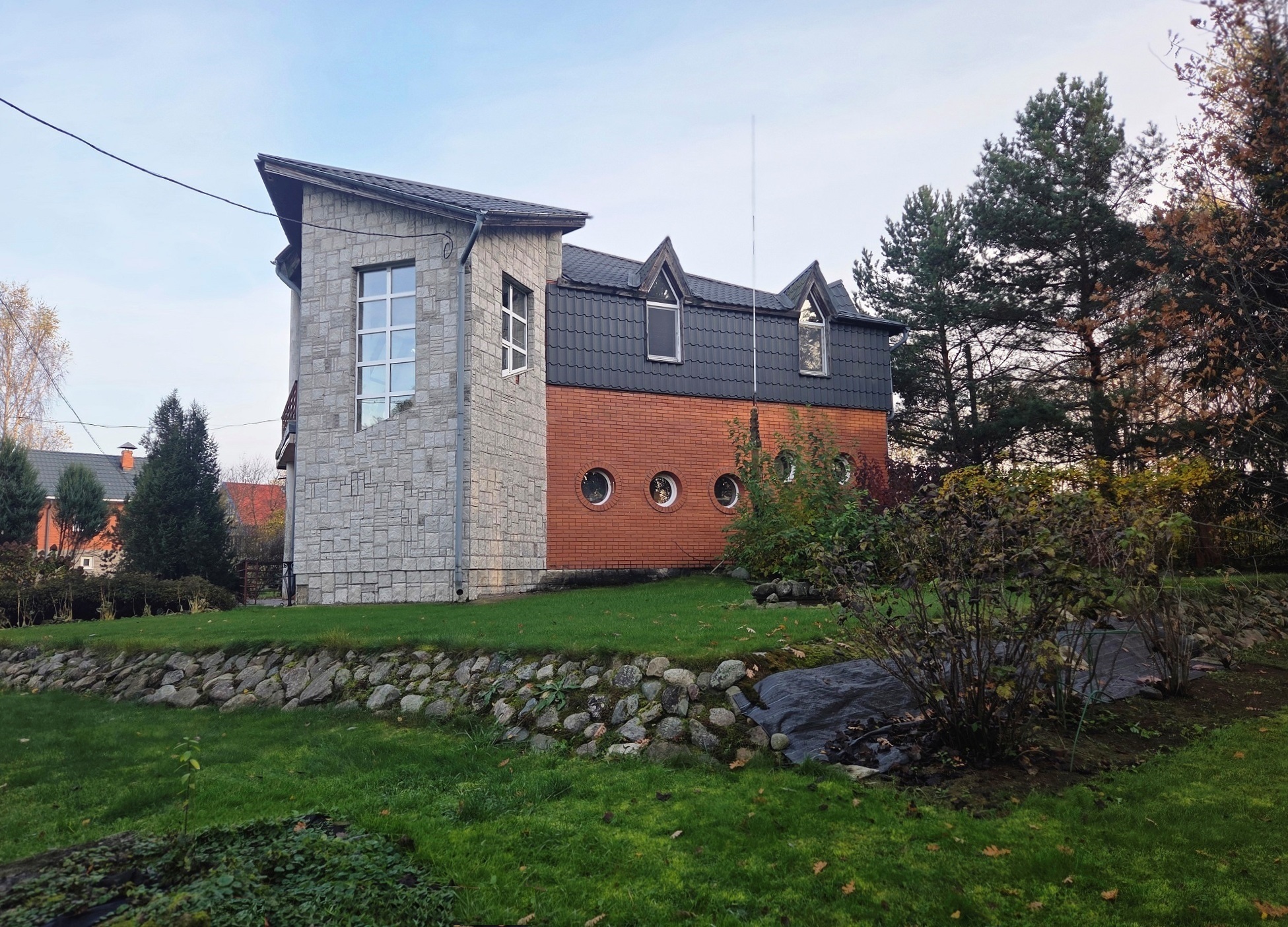 Выбранное изображение