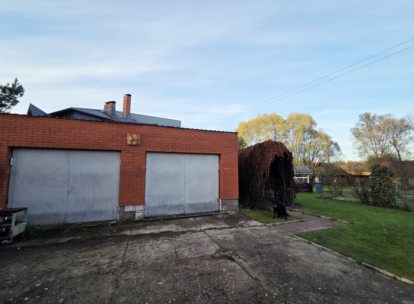 Изображение из списка