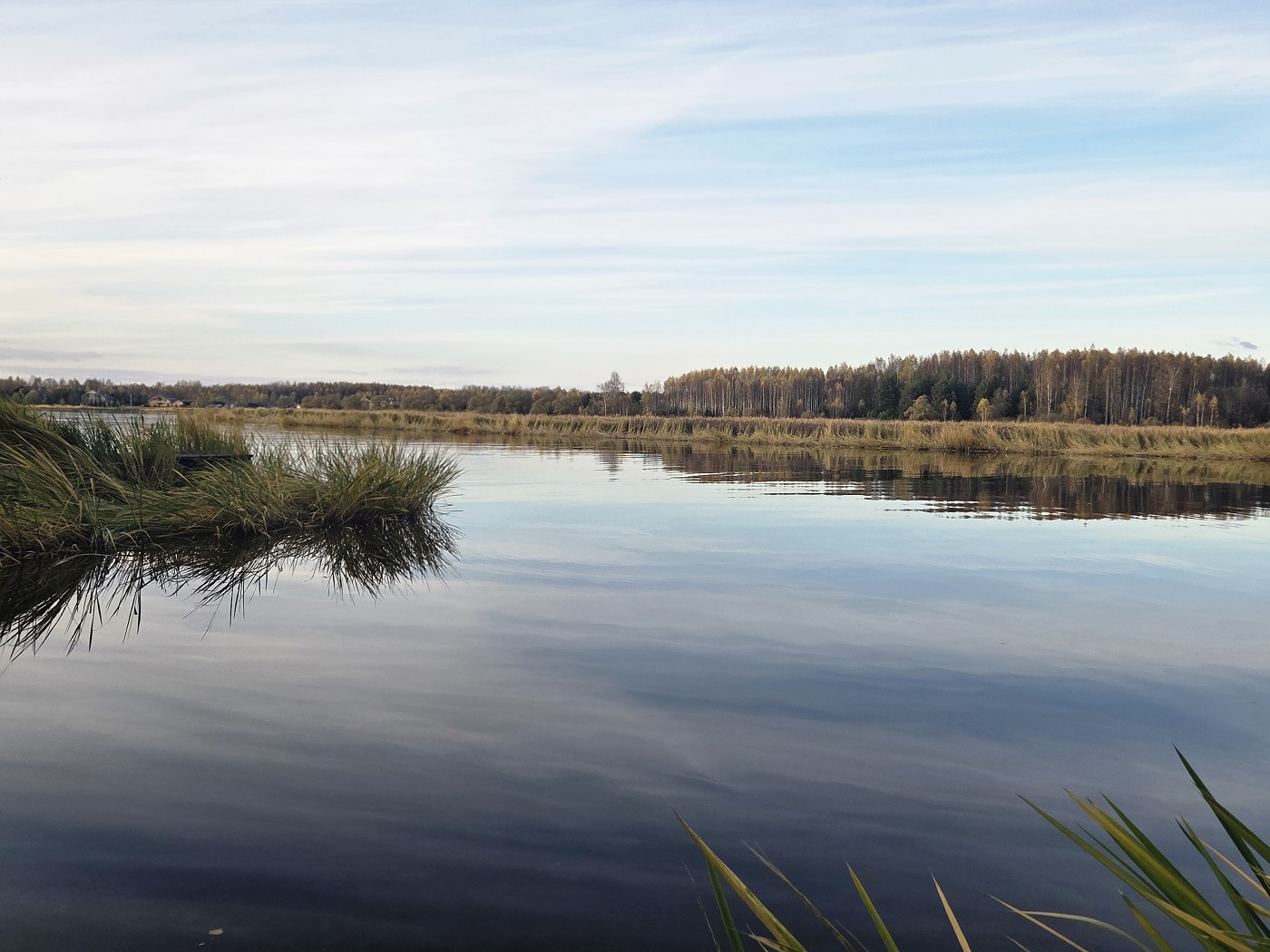 Изображение из списка