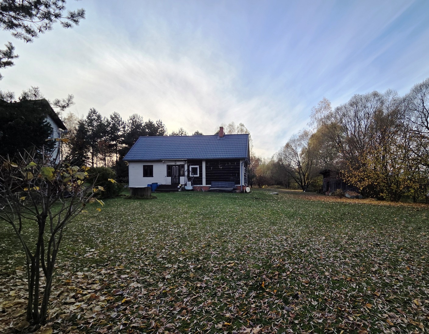 Изображение из списка