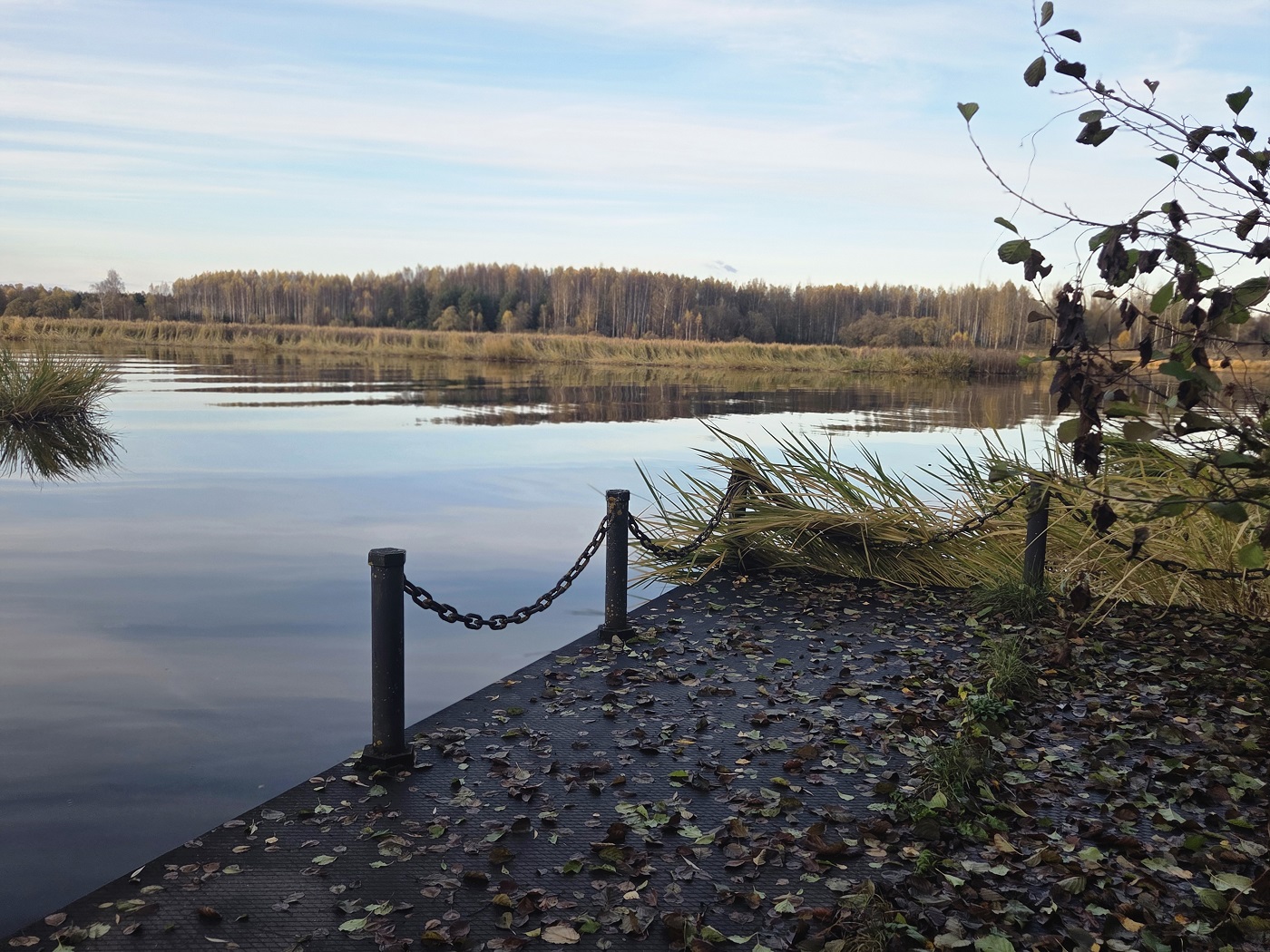 Изображение из списка