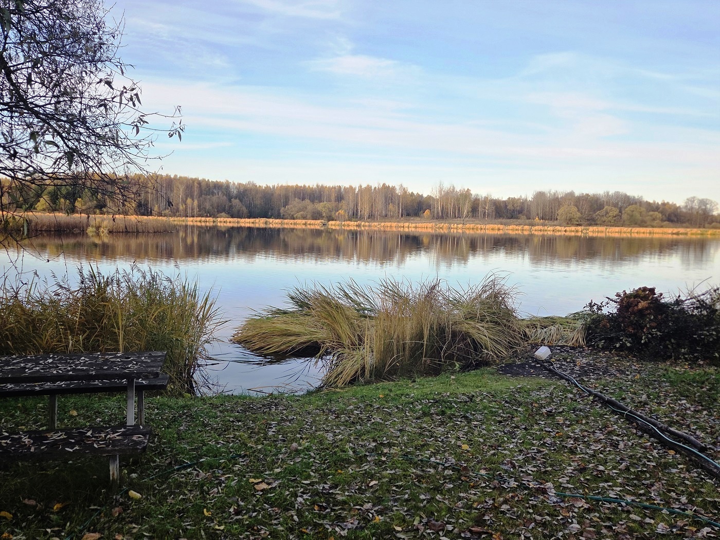 Изображение из списка