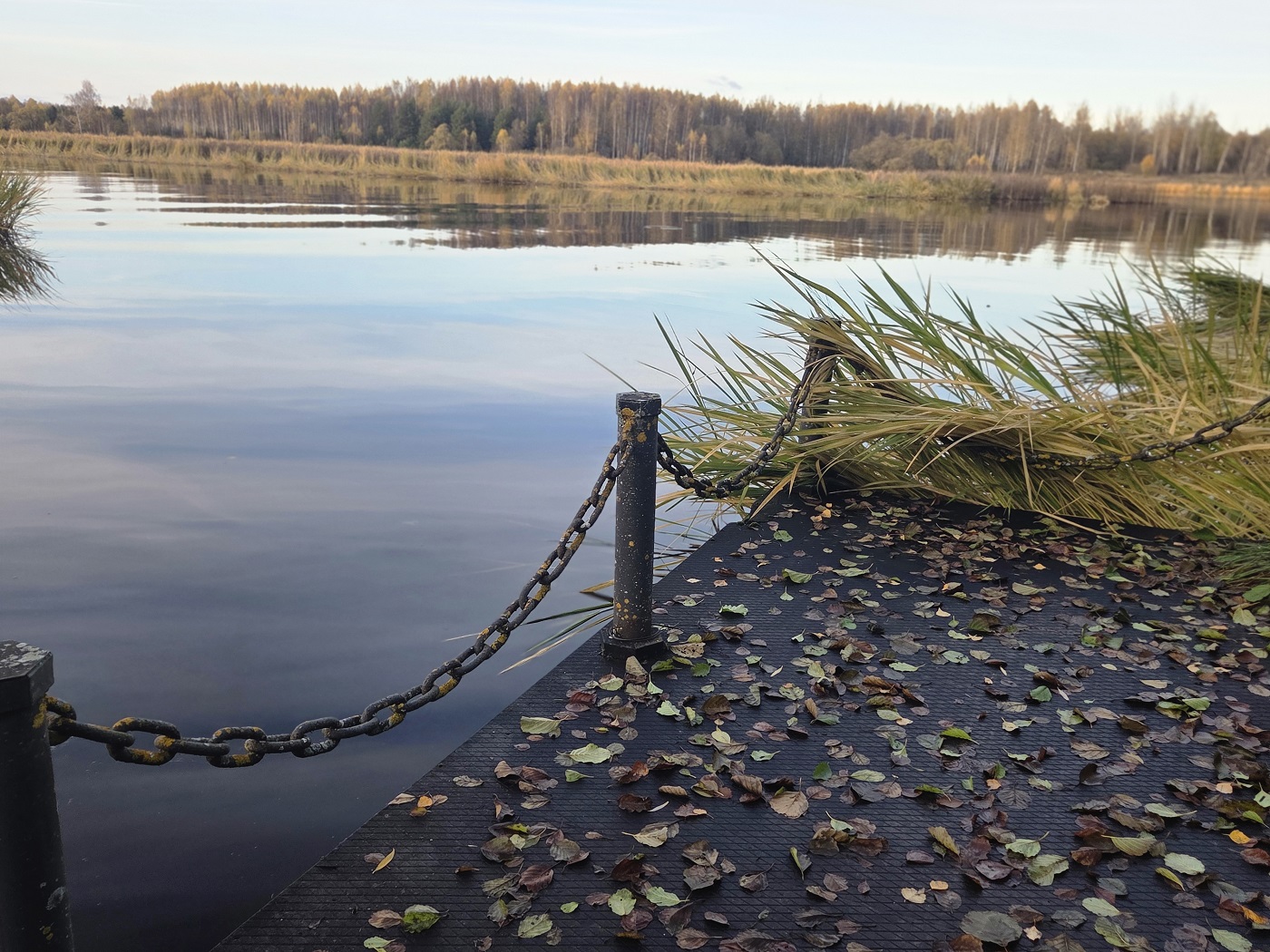 Изображение из списка