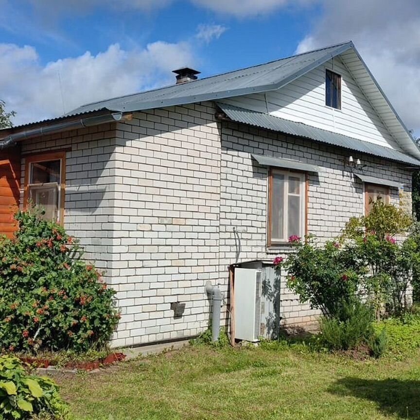 Выбранное изображение