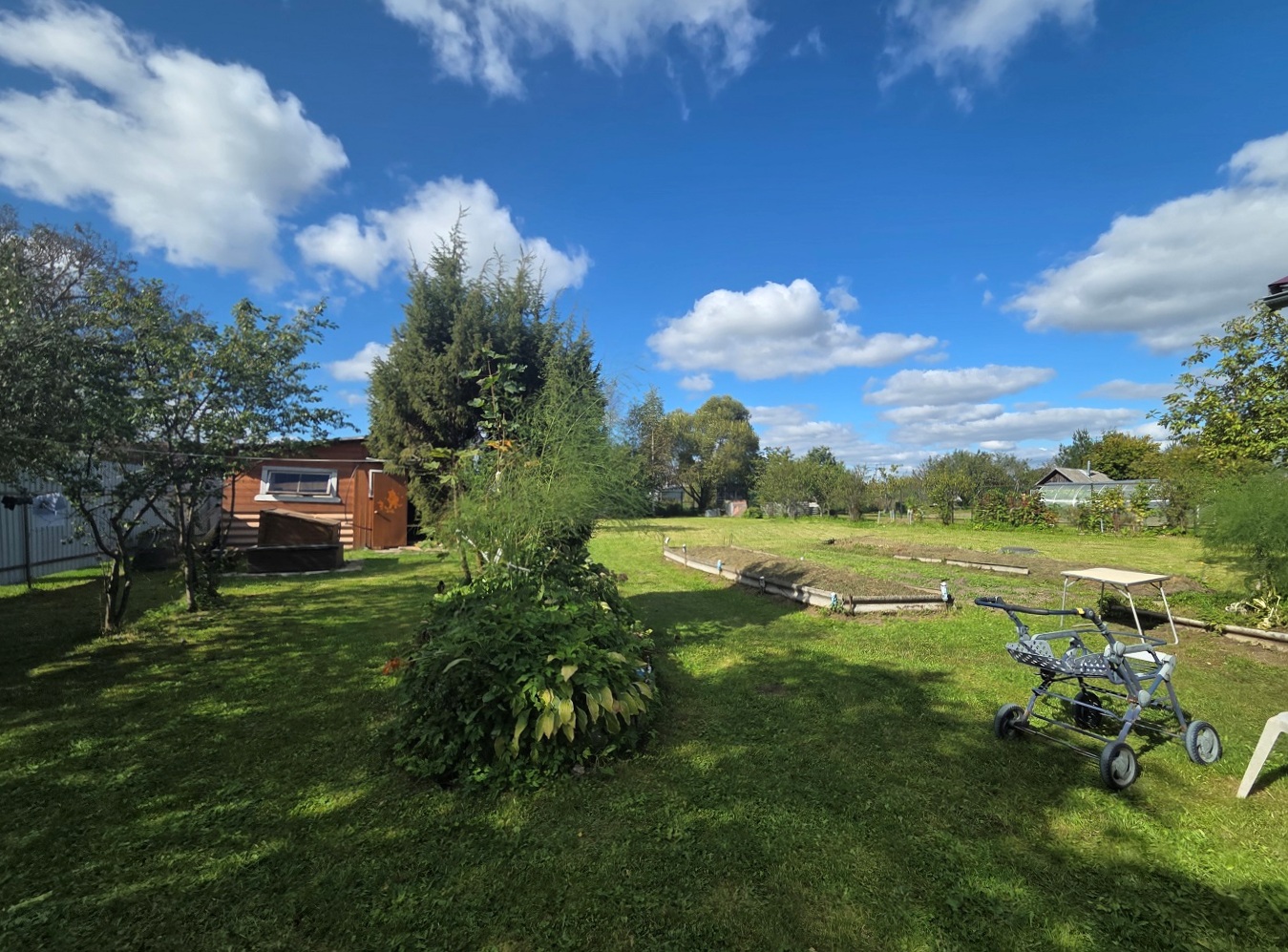 Изображение из списка