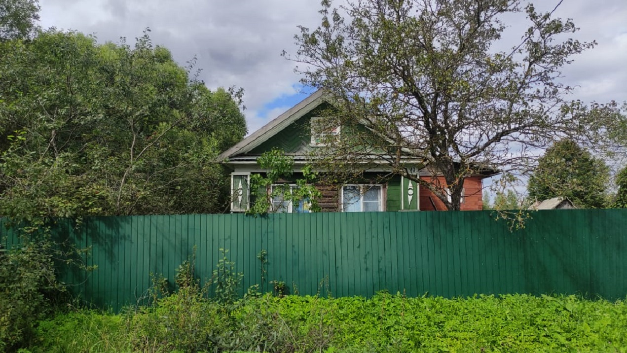 Выбранное изображение