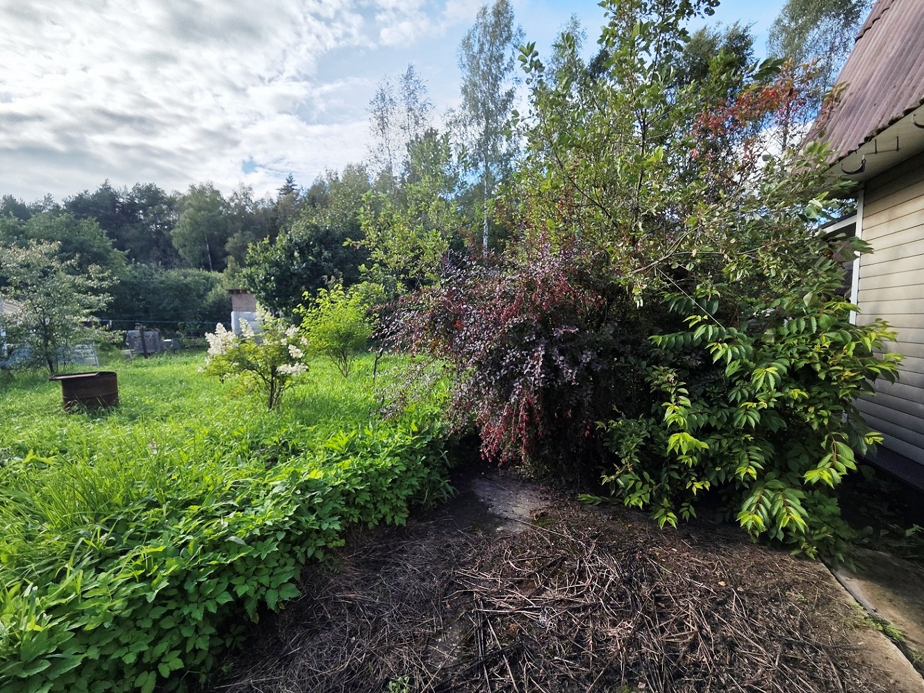 Изображение из списка