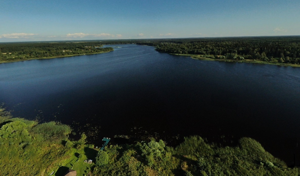 Изображение из списка