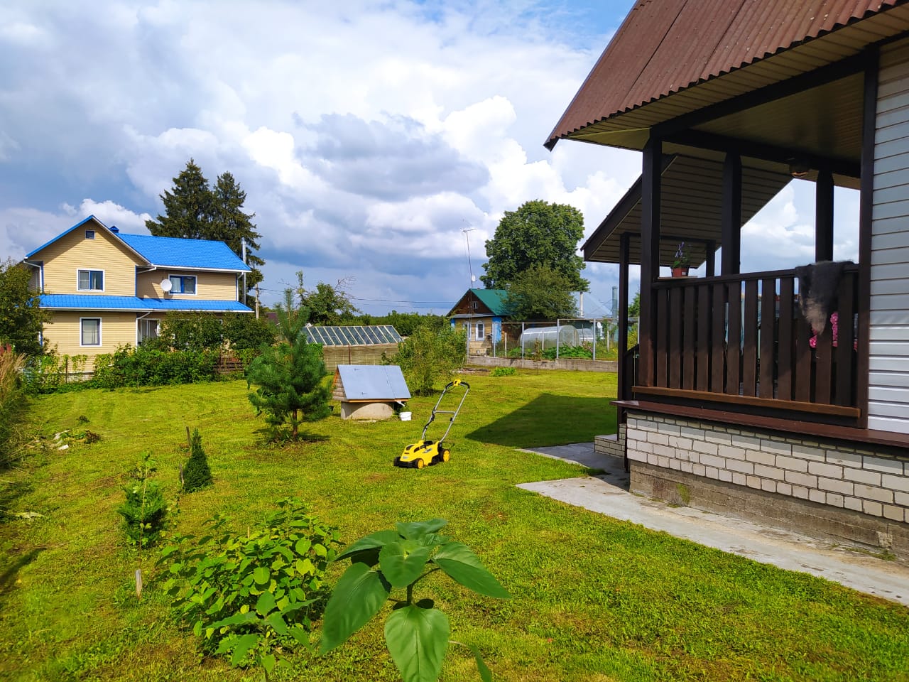 Изображение из списка