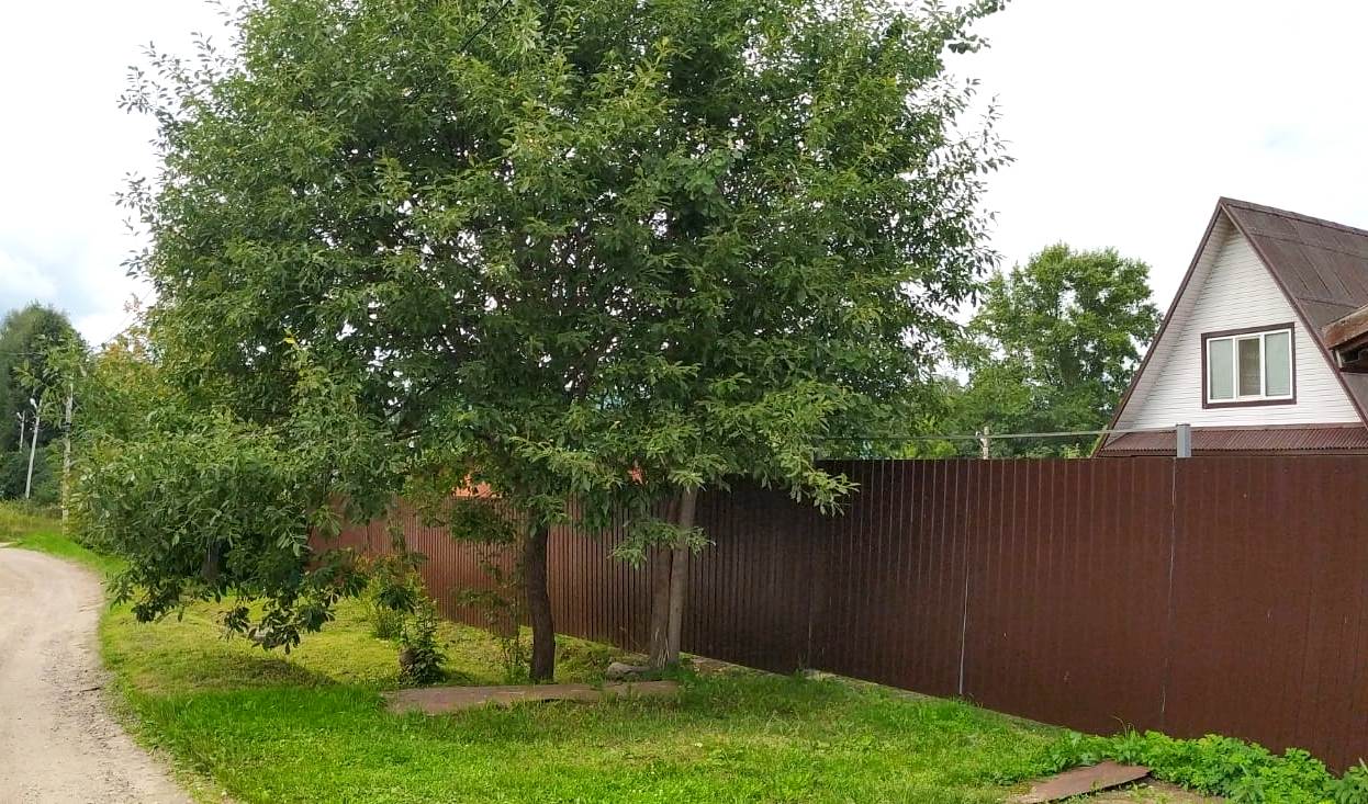 Изображение из списка