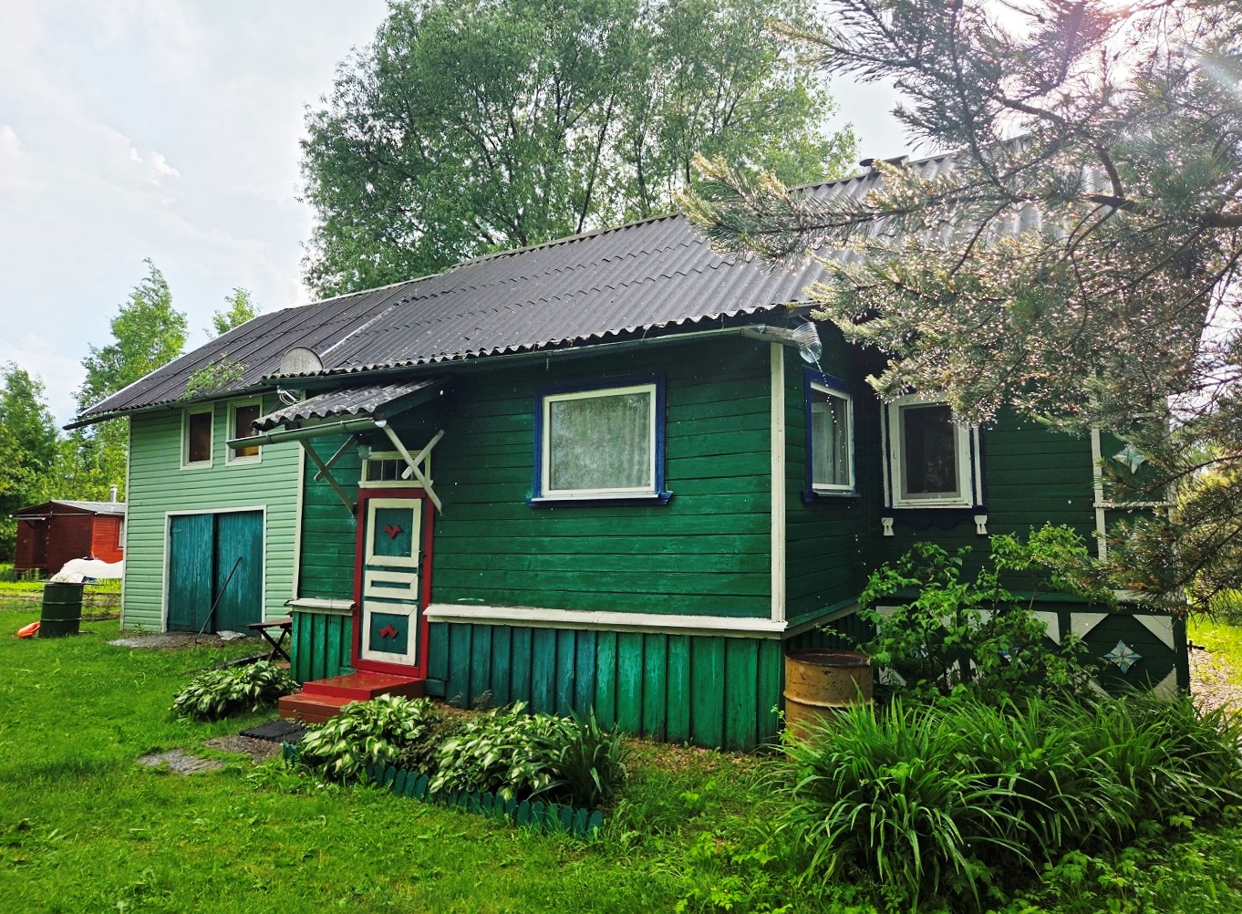 Выбранное изображение