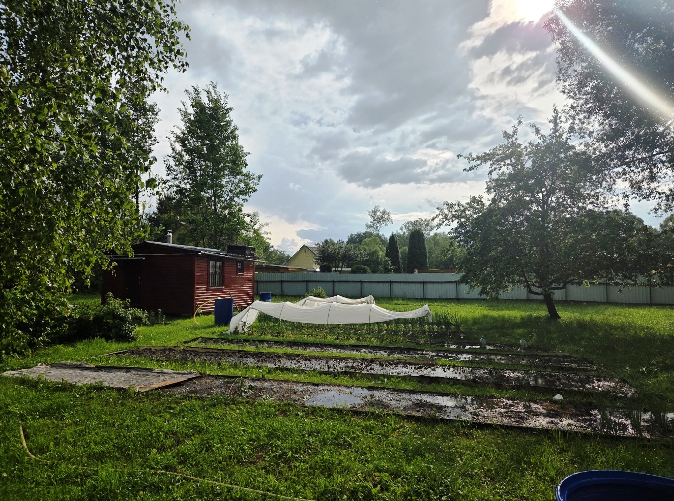 Изображение из списка