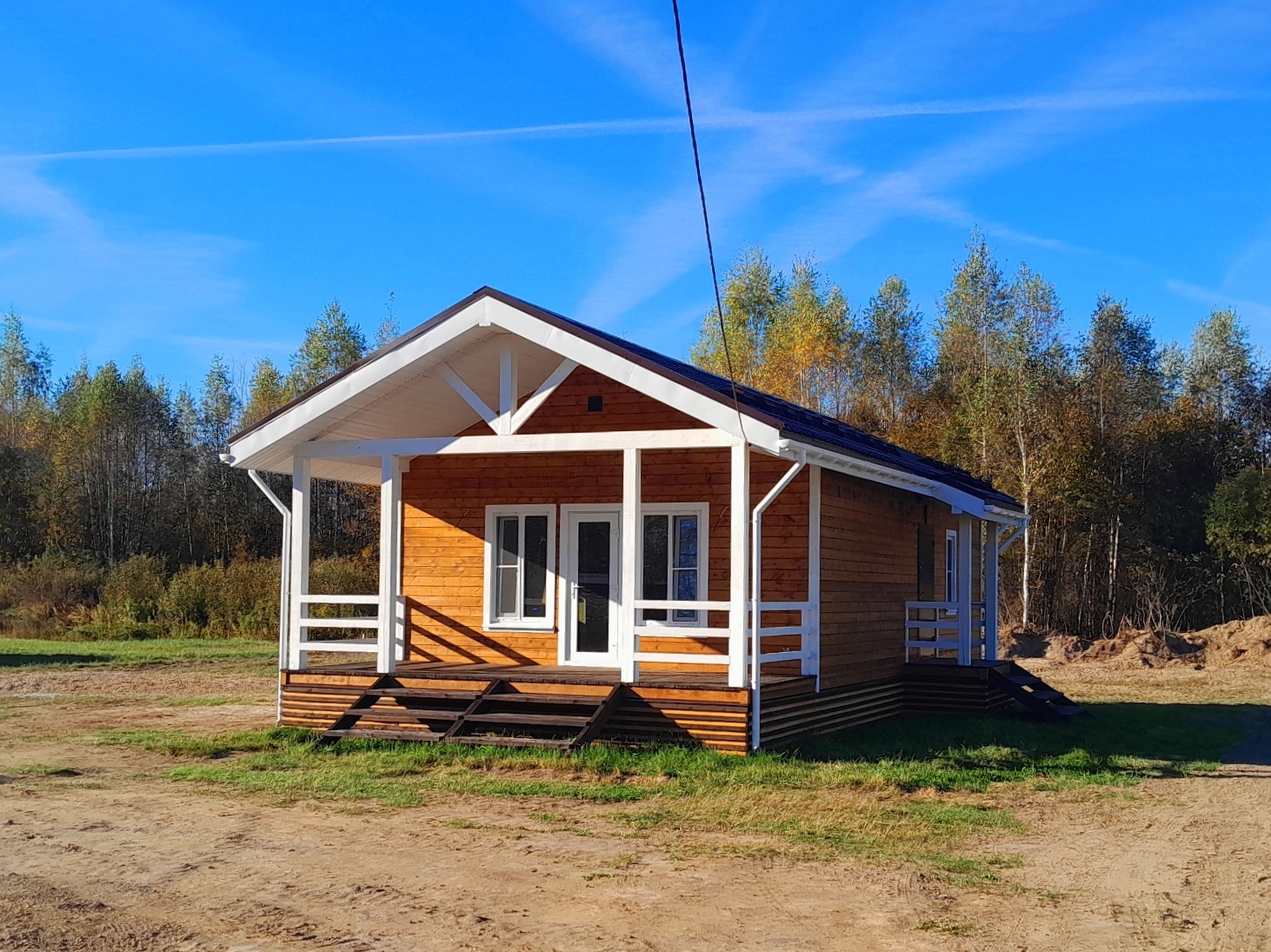 Выбранное изображение