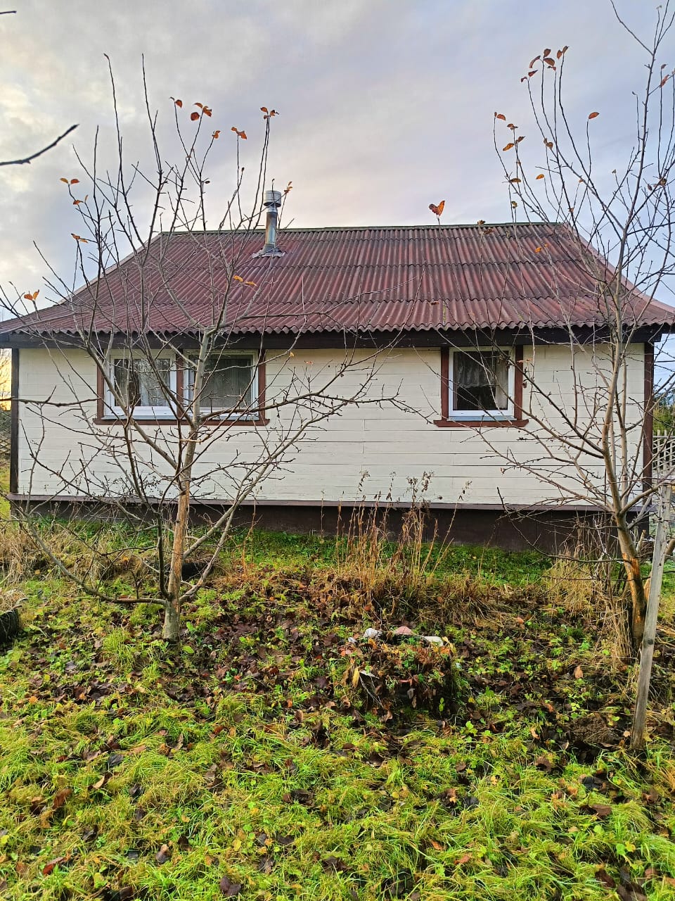 Изображение из списка