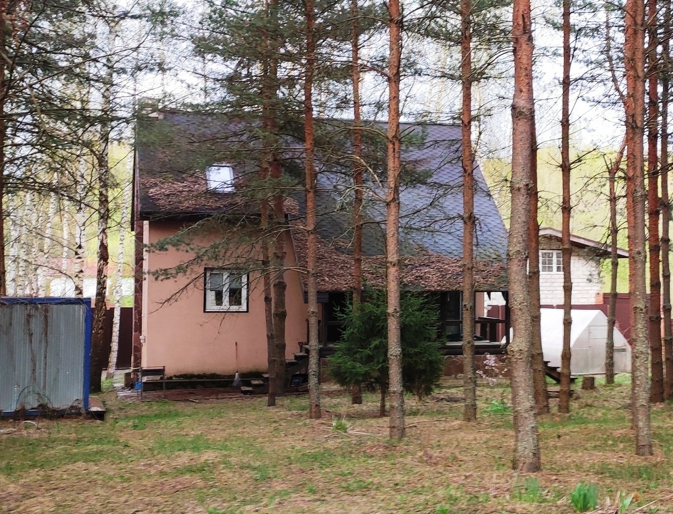 Выбранное изображение