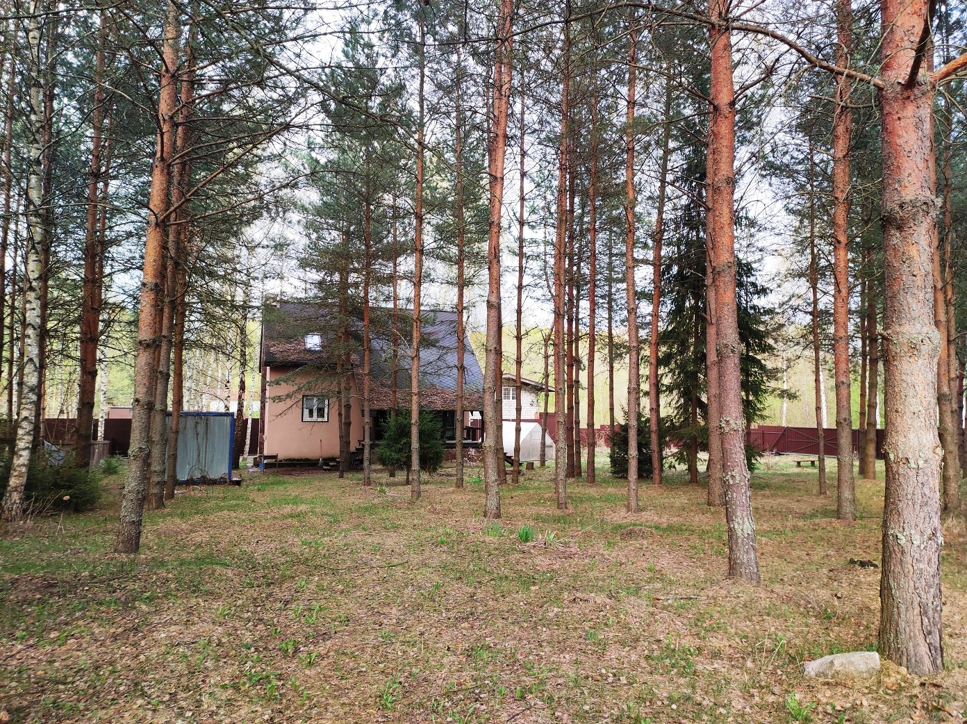 Изображение из списка