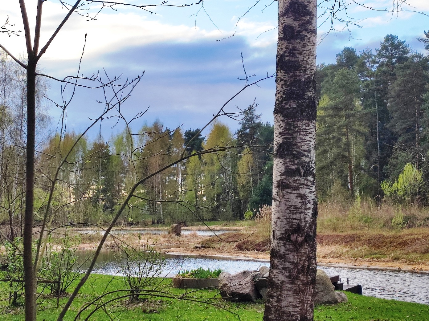 Изображение из списка