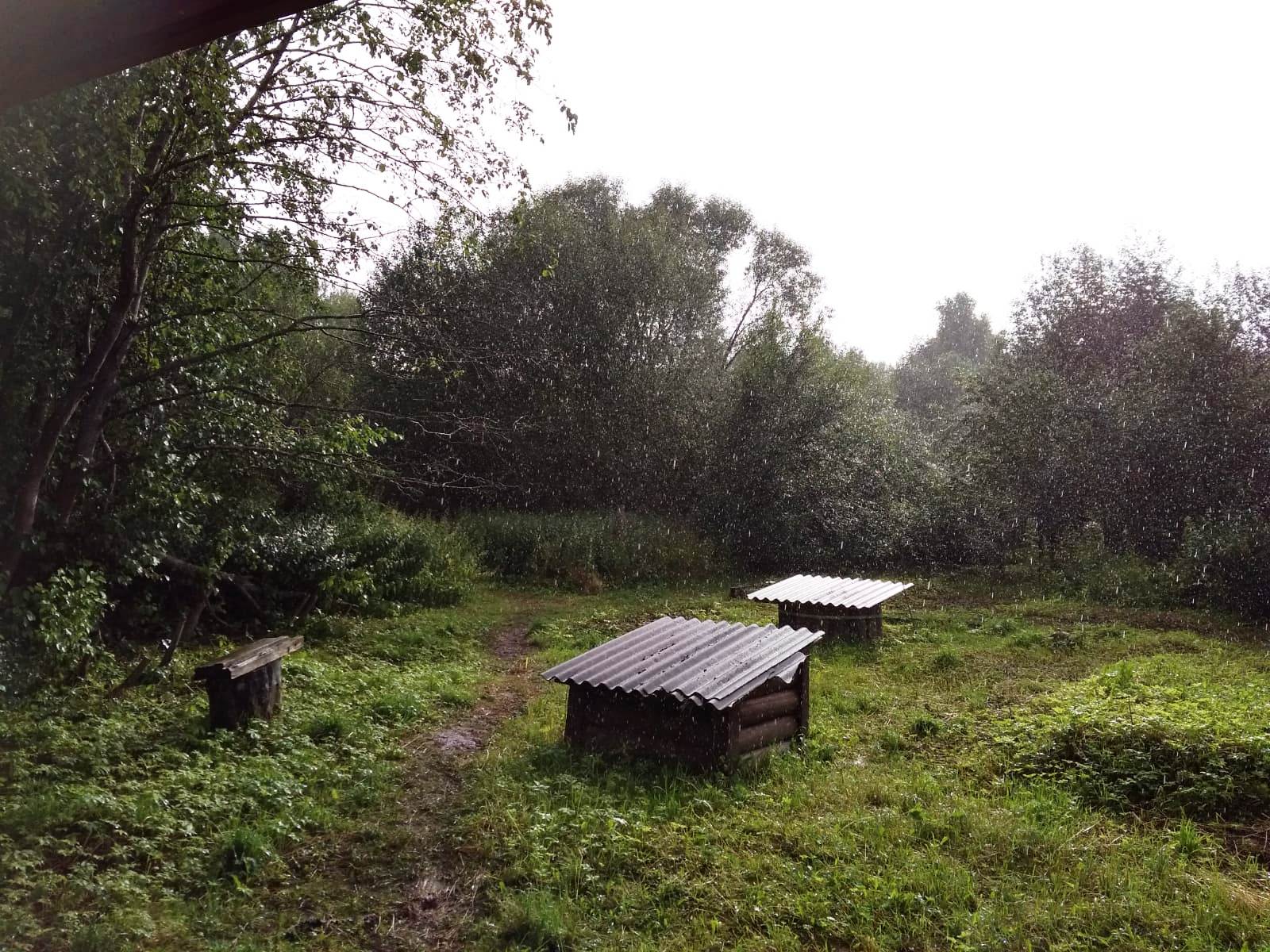 Изображение из списка