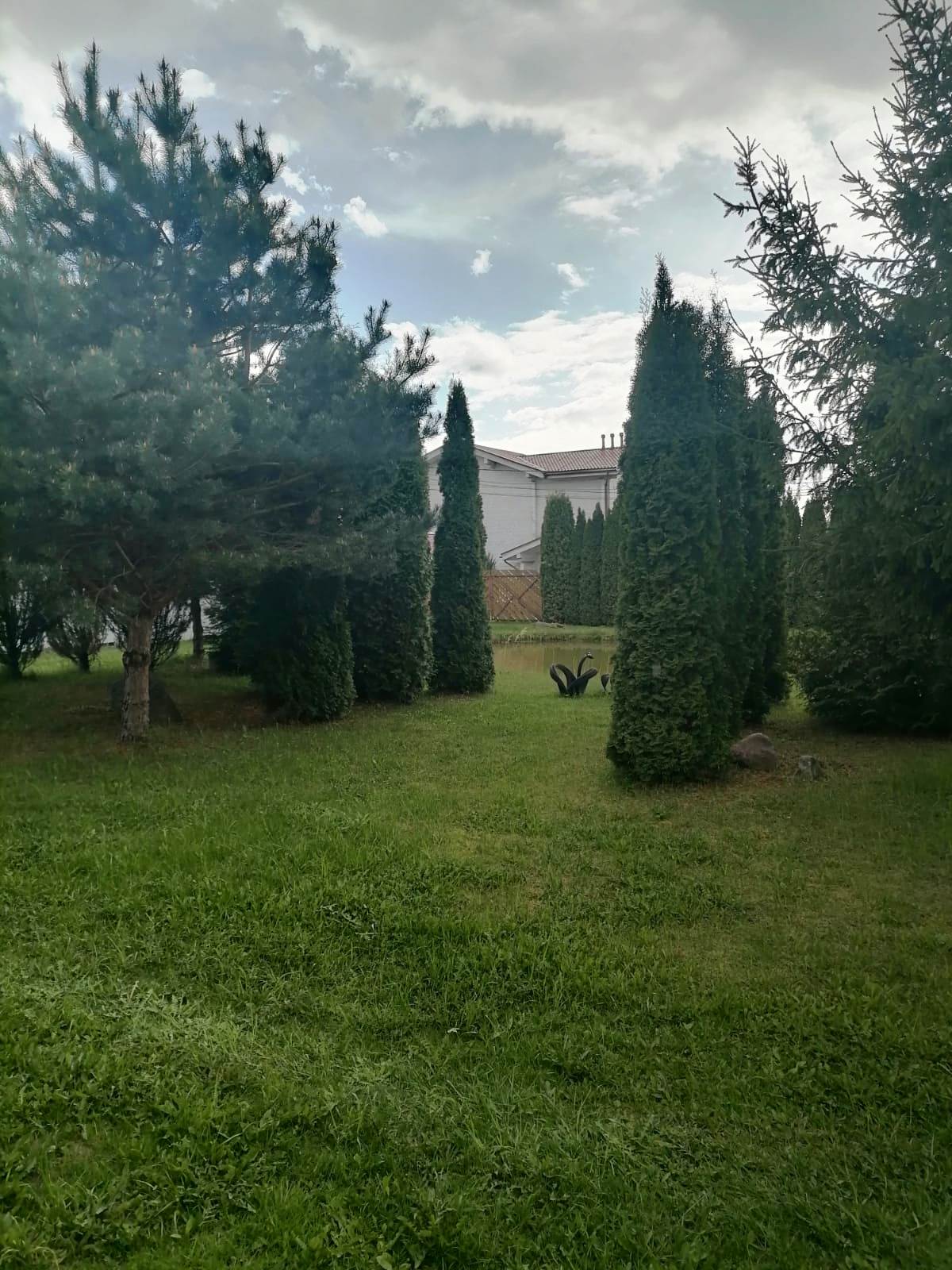 Изображение из списка